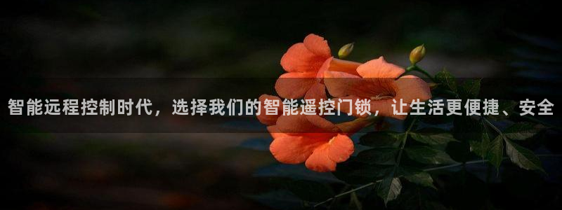 开丰娱乐下载安装：智能远程控制时代，选择我们的智能遥控门锁，