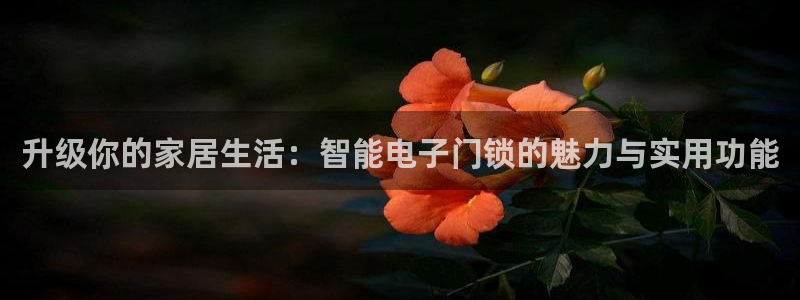 开丰娱乐下：升级你的家居生活：智能电子门锁的魅力与实用功能