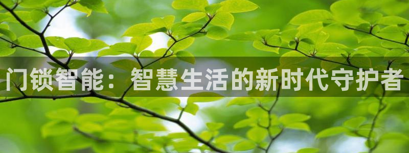 开丰娱乐若七九九：门锁智能：智慧生活的新时代守护者