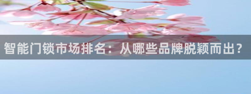 开丰娱乐登入地址在哪儿：智能门锁市场排名：从哪些品牌脱颖而出
