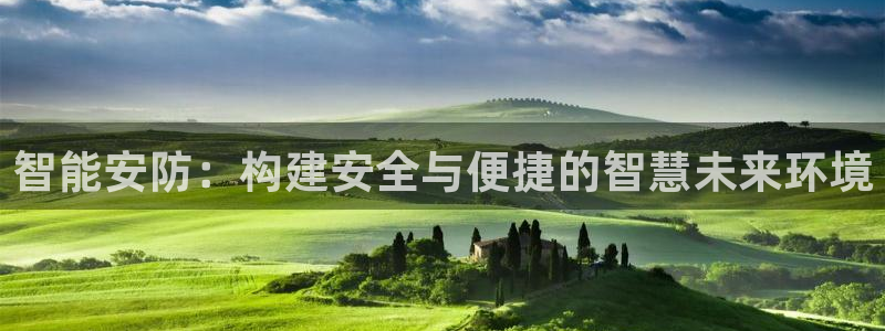 开丰娱乐左：智能安防：构建安全与便捷的智慧未来环境