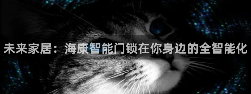 开丰娱乐平台注册时间：未来家居：海康智能门锁在你身边的全智能