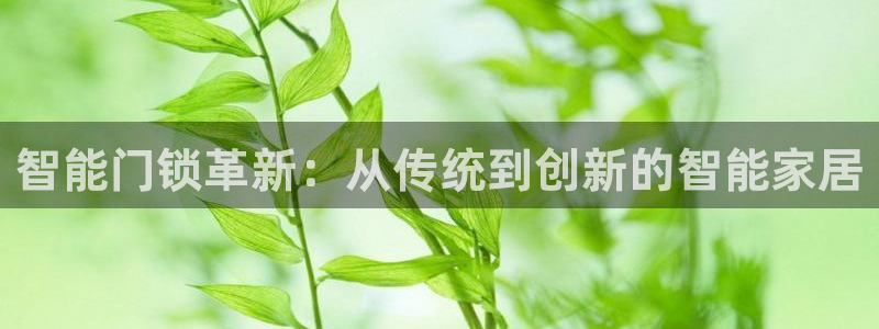 开丰娱乐平台注册地址：智能门锁革新：从传统到创新的智能家居