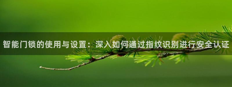 开丰娱乐平台地址：智能门锁的使用与设置：深入如何通过指纹识别