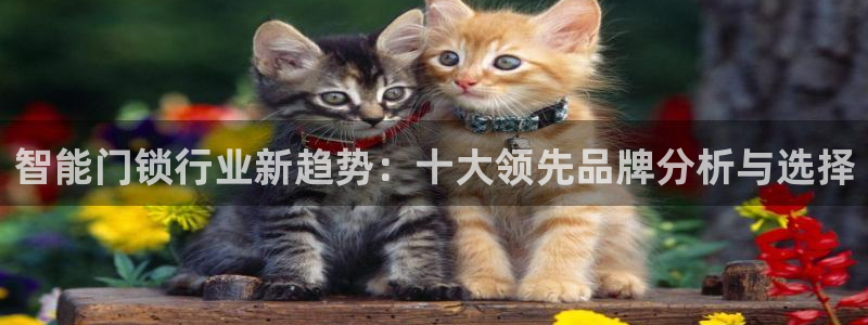 开丰娱乐姜333OO：智能门锁行业新趋势：十大领先品牌分析与