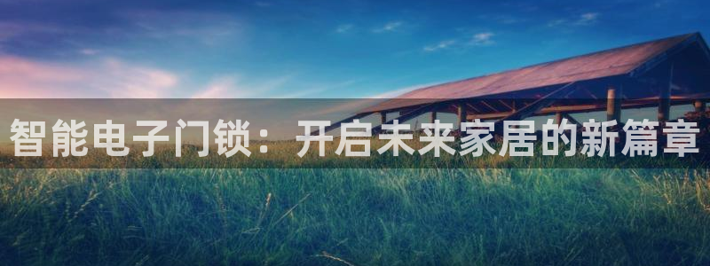 开丰娱乐网站：智能电子门锁：开启未来家居的新篇章