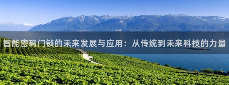 开丰娱乐平台登录：智能密码门锁的未来发展与应用：从传统到未来