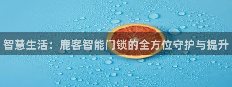 开丰娱乐科技：智慧生活：鹿客智能门锁的全方位守护与提升