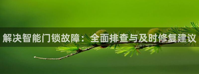开丰娱乐违法吗：解决智能门锁故障：全面排查与及时修复建议