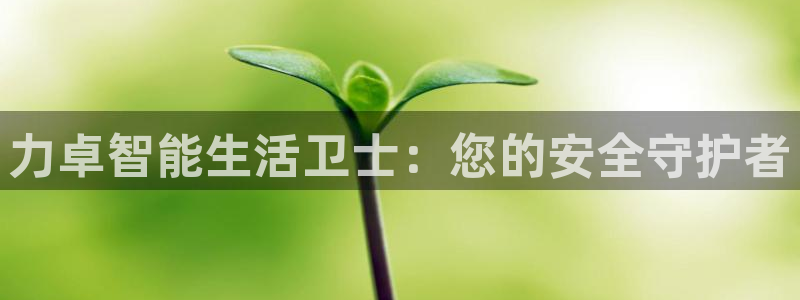 开丰娱乐月7O667：力卓智能生活卫士：您的安全守护者