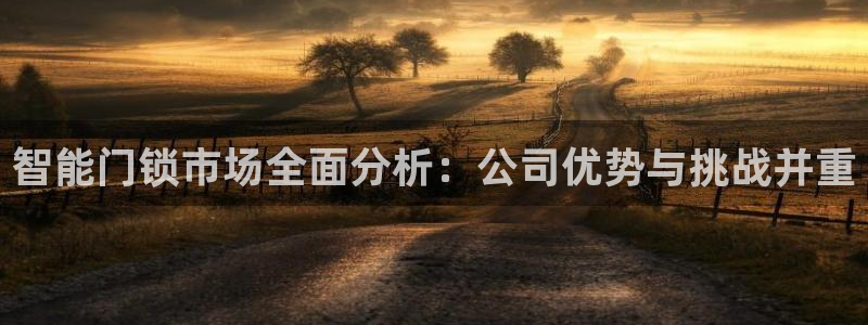 开丰娱乐不开了吗：智能门锁市场全面分析：公司优势与挑战并重