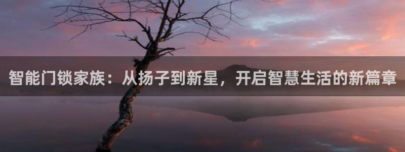 开丰娱乐平台地址：智能门锁家族：从扬子到新星，开启智慧生活的