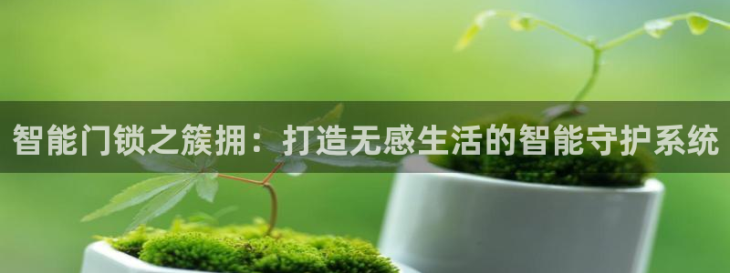 开丰娱乐下7O667：智能门锁之簇拥：打造无感生活的智能守护