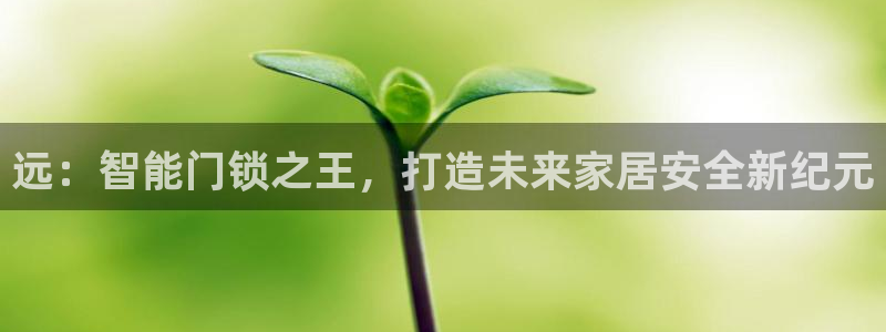 开丰娱乐网站官网首页：远：智能门锁之王，打造未来家居安全新纪