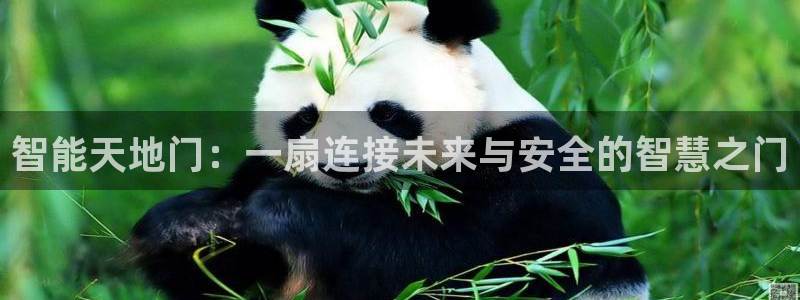 开丰娱乐若七九九：智能天地门：一扇连接未来与安全的智慧之门