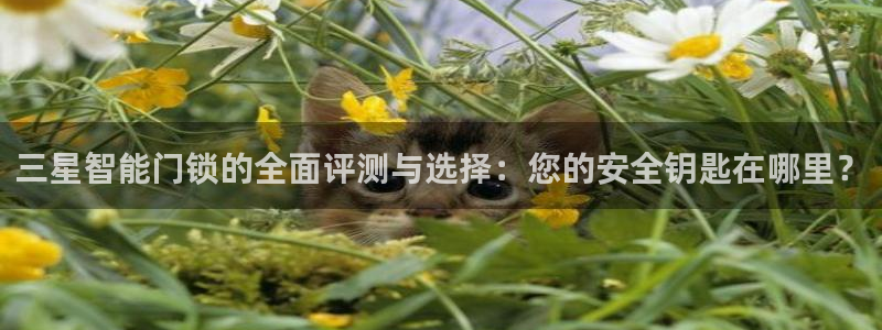 开丰娱乐予 7O935