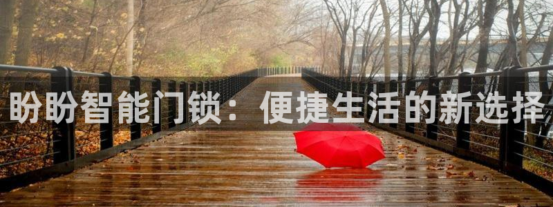 开丰娱乐主管家去判官333OO：盼盼智能门锁：便捷生活的新选