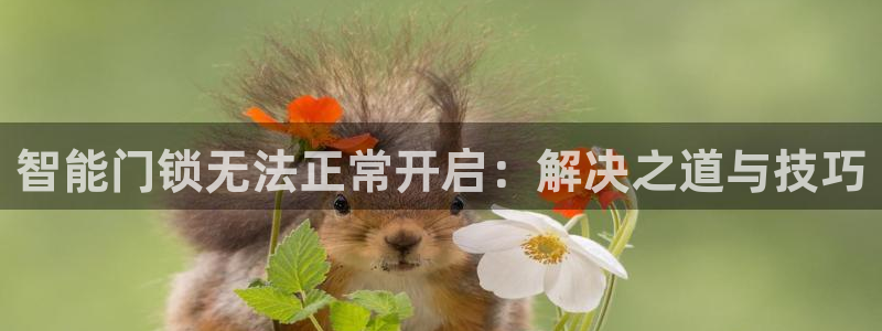 开丰娱乐左：智能门锁无法正常开启：解决之道与技巧
