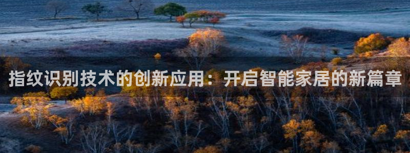 开丰娱乐日：指纹识别技术的创新应用：开启智能家居的新篇章