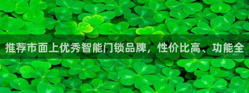 开丰娱乐主管家去判官333OO：推荐市面上优秀智能门锁品牌，
