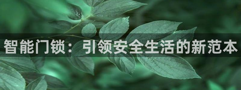 开丰娱乐登录注册：智能门锁：引领安全生活的新范本