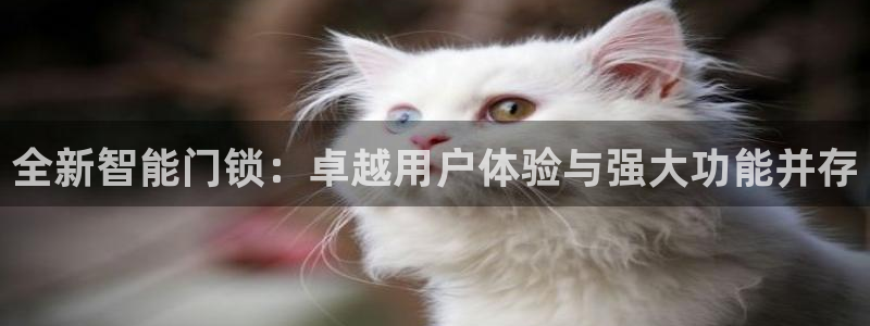 开丰娱乐怎么开转点：全新智能门锁：卓越用户体验与强大功能并存