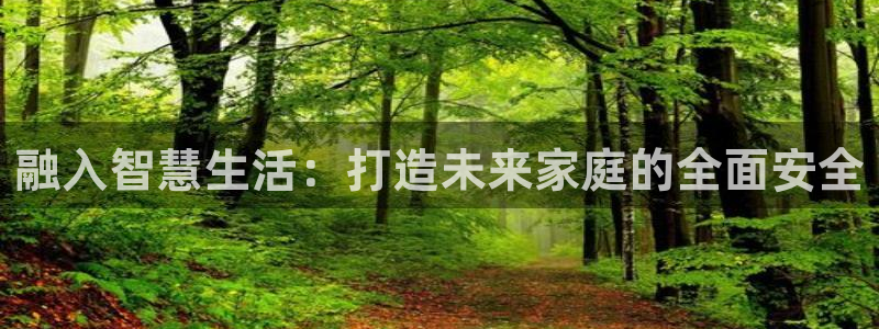 开丰娱乐平台：融入智慧生活：打造未来家庭的全面安全