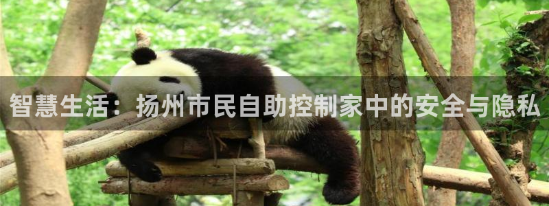 开丰娱乐官网平台登录：智慧生活：扬州市民自助控制家中的安全与