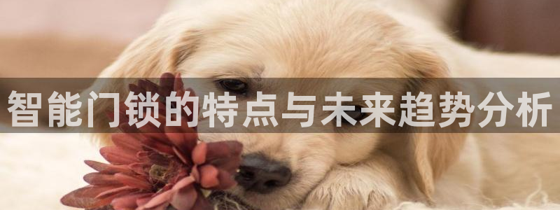 开丰娱乐登陆地址：智能门锁的特点与未来趋势分析