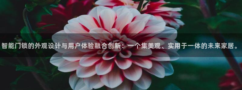 开丰娱乐不开了吗：智能门锁的外观设计与用户体验融合创新：一个