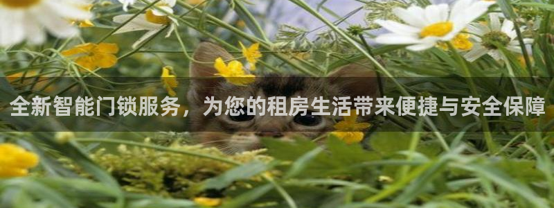 开丰娱乐官网招聘：全新智能门锁服务，为您的租房生活带来便捷与