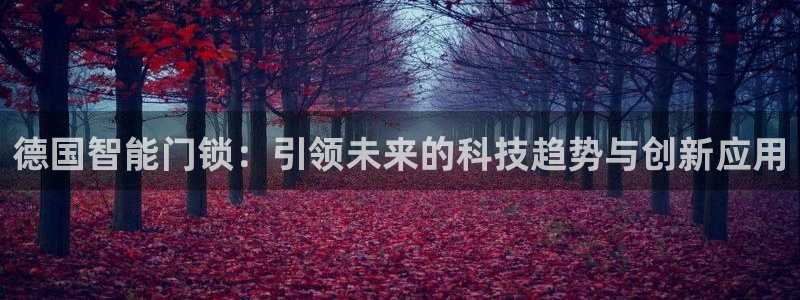 开丰娱乐官网平台网址：德国智能门锁：引领未来的科技趋势与创新