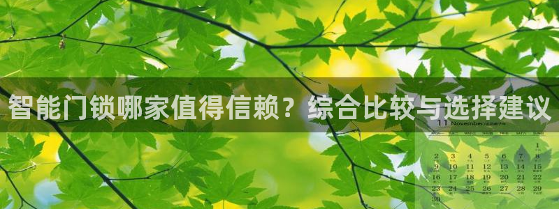 开丰娱乐2登录：智能门锁哪家值得信赖？综合比较与选择建议