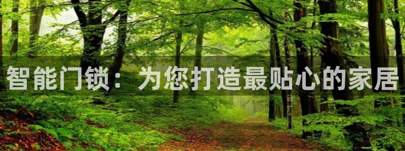 开丰娱乐平台地址查询：智能门锁：为您打造最贴心的家居