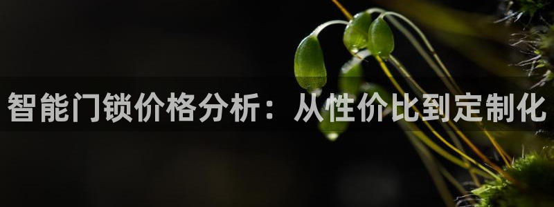 开丰娱乐测速：智能门锁价格分析：从性价比到定制化