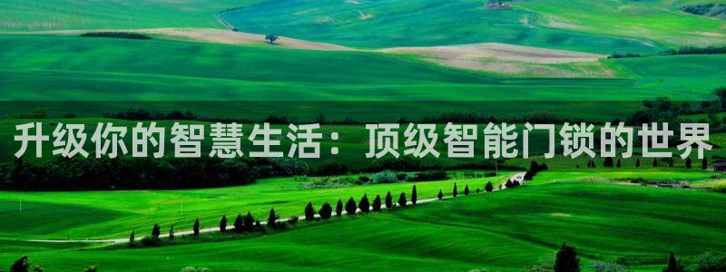 开丰娱乐科技：升级你的智慧生活：顶级智能门锁的世界