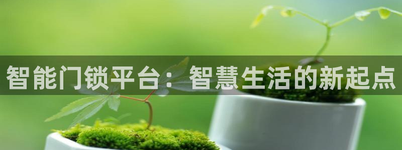 开丰娱乐靠谱吗：智能门锁平台：智慧生活的新起点