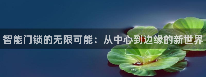 开丰娱乐平台登录网址：智能门锁的无限可能：从中心到边缘的新世