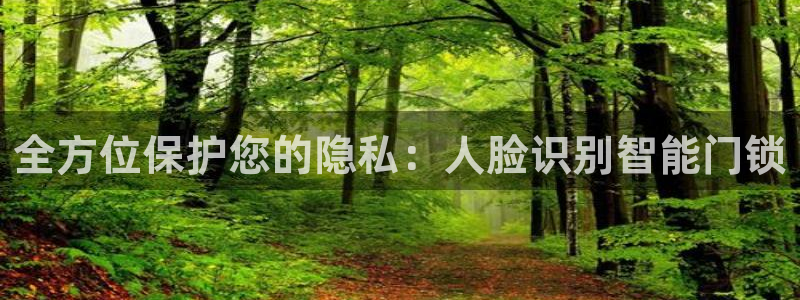 开丰娱乐乙833_43：全方位保护您的隐私：人脸识别智能门锁