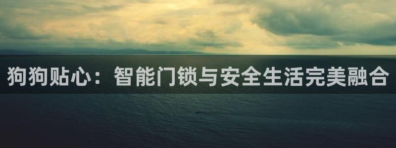 开丰娱乐地址：狗狗贴心：智能门锁与安全生活完美融合
