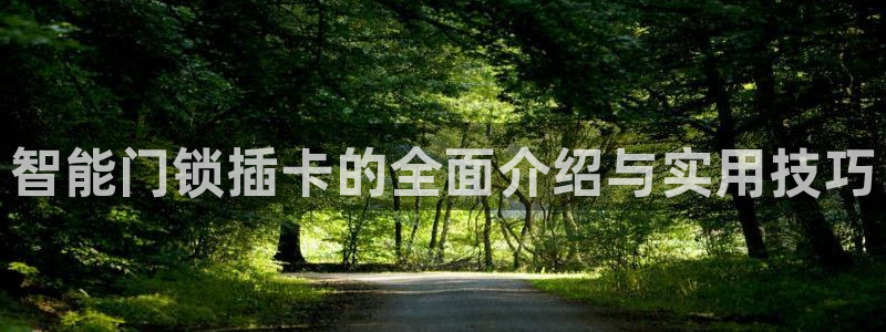 开丰娱乐平台登录：智能门锁插卡的全面介绍与实用技巧