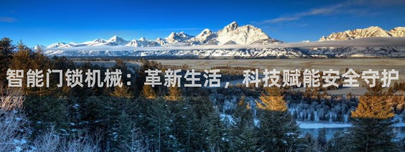 开丰娱乐官网平台登录：智能门锁机械：革新生活，科技赋能安全守