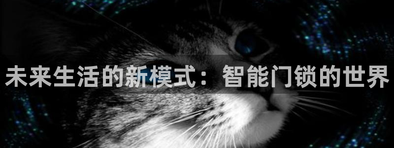 开丰娱乐官方app：未来生活的新模式：智能门锁的世界