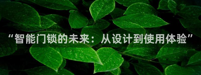 开丰娱乐登录注册：“智能门锁的未来：从设计到使用体验”