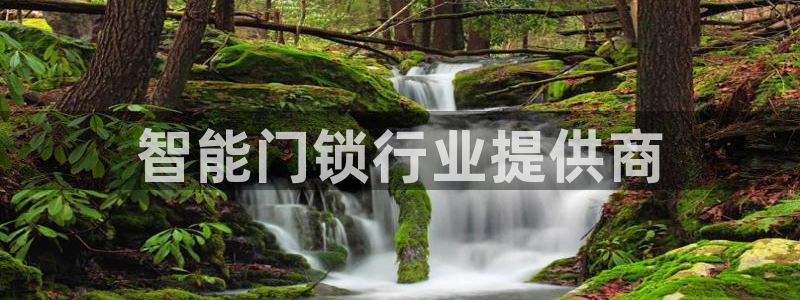 开丰娱乐地址查询：智能门锁行业提供商