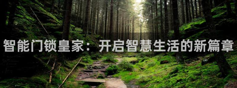 圩丰刚开的娱乐场所：智能门锁皇家：开启智慧生活的新篇章