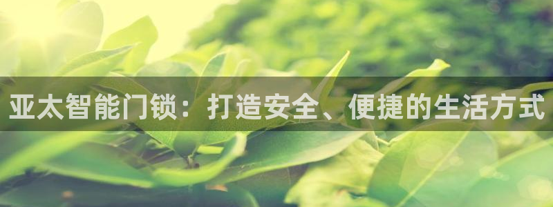 开丰娱乐万六七五一38：亚太智能门锁：打造安全、便捷的生活方