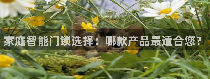 开丰娱乐上7O667：家庭智能门锁选择：哪款产品最适合您？
