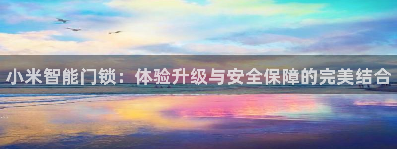 开丰娱乐平台注册：小米智能门锁：体验升级与安全保障的完美结合