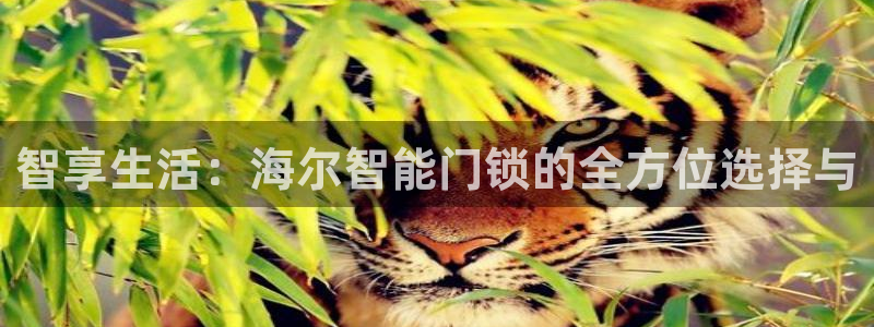 开丰娱乐官网平台登录：智享生活：海尔智能门锁的全方位选择与